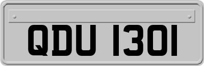 QDU1301