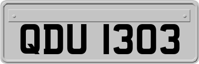 QDU1303
