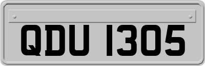 QDU1305