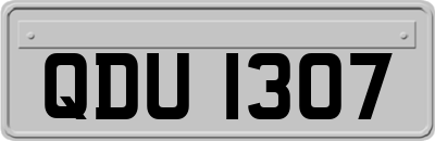 QDU1307