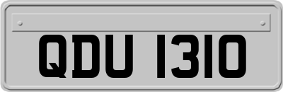 QDU1310