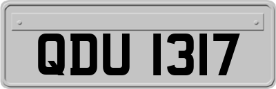 QDU1317