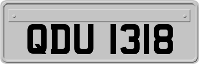 QDU1318