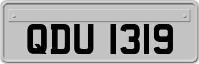 QDU1319