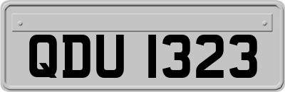 QDU1323