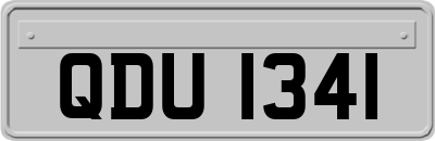 QDU1341