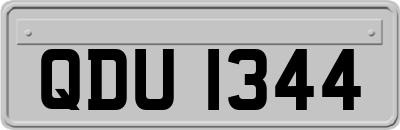 QDU1344