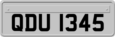 QDU1345
