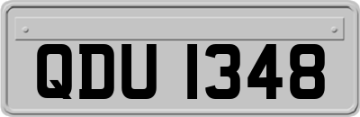 QDU1348