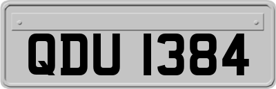 QDU1384
