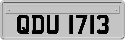 QDU1713