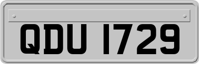 QDU1729