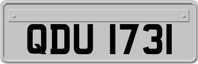 QDU1731