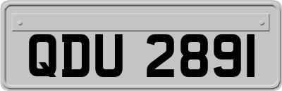 QDU2891