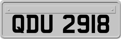 QDU2918