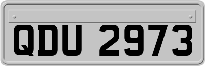QDU2973