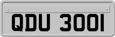QDU3001