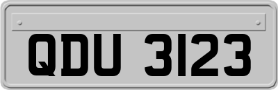 QDU3123