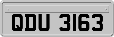 QDU3163
