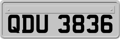 QDU3836