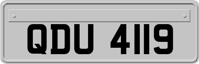 QDU4119