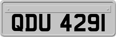 QDU4291