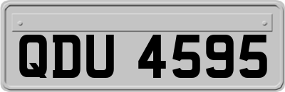 QDU4595