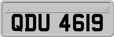 QDU4619