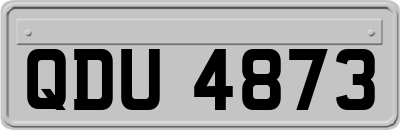 QDU4873