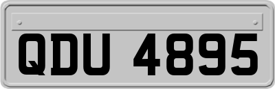 QDU4895