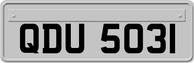 QDU5031