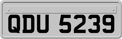 QDU5239