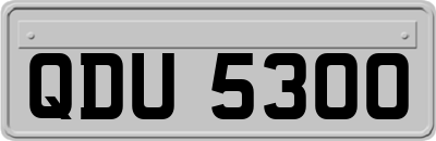 QDU5300