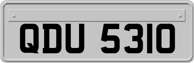 QDU5310