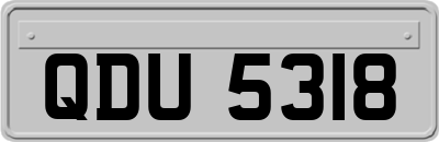 QDU5318