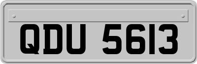 QDU5613