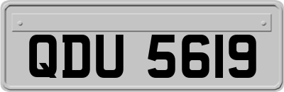 QDU5619