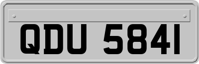 QDU5841