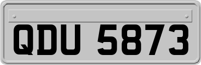 QDU5873