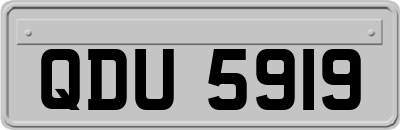 QDU5919