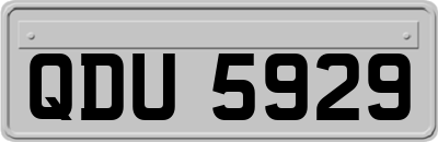 QDU5929