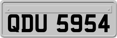 QDU5954