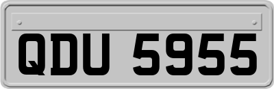 QDU5955