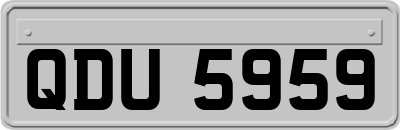 QDU5959