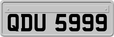 QDU5999