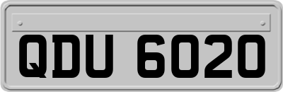 QDU6020