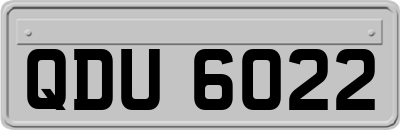 QDU6022