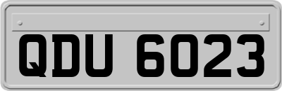 QDU6023