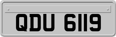 QDU6119