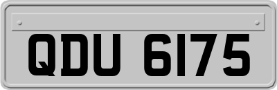 QDU6175